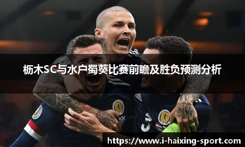 枥木SC与水户蜀葵比赛前瞻及胜负预测分析